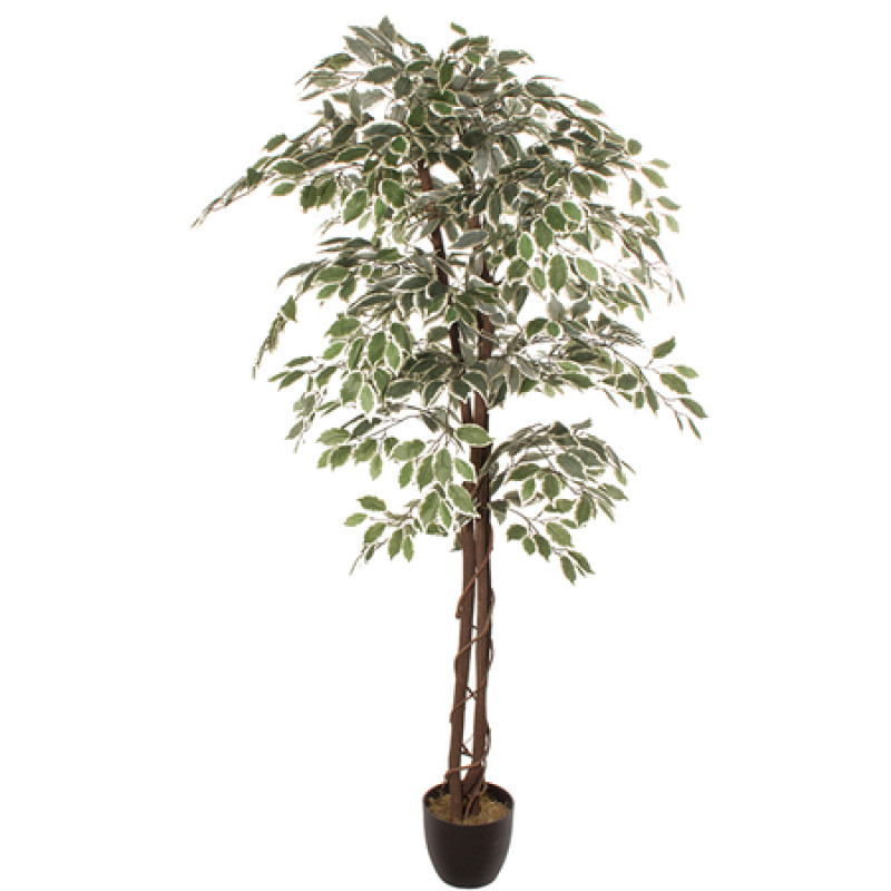 Mākslīgais augs FICUS 1.80m